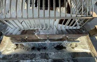 Tekman buz kesti: Eksi 33.1