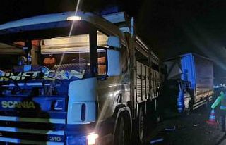 TEM’de arıza yapan kamyonu emniyet şeridine park...