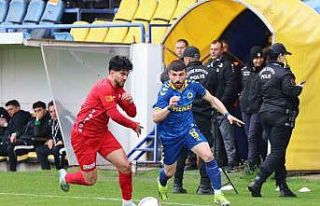 TFF 2. Lig: Menemen FK: 2 - Karaman FK: 1