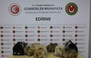 Ticaret Bakanlığı yasa dışı ticarete engel oldu