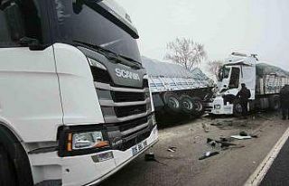 Tırların çarpıştığı kazada faciadan dönüldü
