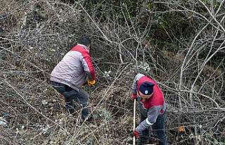 Tokat’ta yaşam alanları güvenli hale getiriliyor