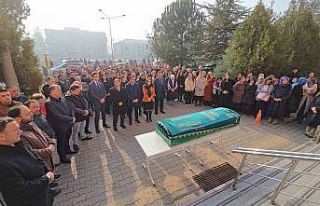 Trafik kazası sonrası 53 günlük yaşam savaşını...