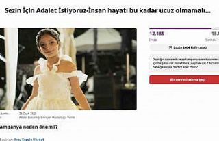 Trafik kazasında ölen 10 yaşındaki Sezin için...