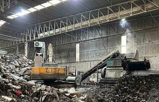 Tunus’tan iade edilen patatesler Mersin’de imha...