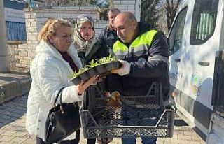 Turhal’da 3 bin 500 çiçek kabirlerle buluştu