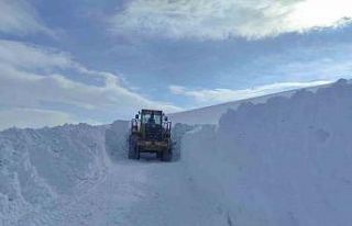 Türkiye-İran hudut hattında karla mücadele çalışması