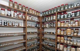 Türkiye’nin 81 iline yerel tohum dağıtımı 3...