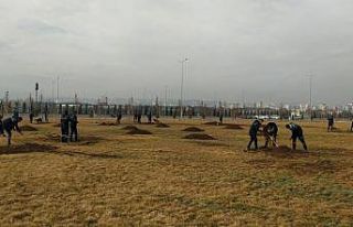 Türkiye’nin en büyük millet bahçesinde bahar...