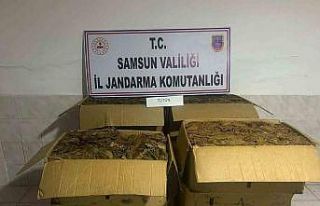 Tütün hırsızı jandarma tarafından yakalandı