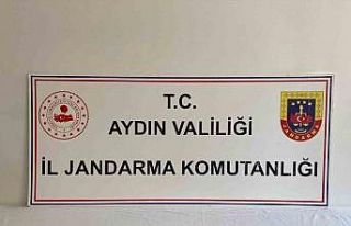 Uyuşturucu kullanan şahıslar jandarmadan kaçamadı