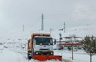 Van’da 255 yerleşim yerinin yolu ulaşıma kapandı
