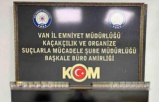 Van’da gümrük kaçakçılığı operasyonu