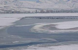 Van’da Sıhke Gölü buz tuttu