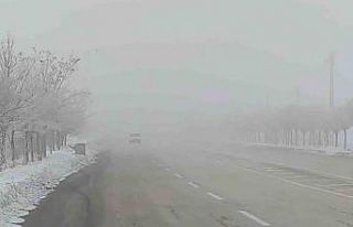 Van’da sis ulaşımı olumsuz etkiledi