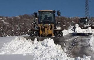 Varto’da 11 köy yolu ulaşıma kapandı