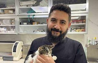 Veteriner hekim sahte mama riskine karşı uyardı