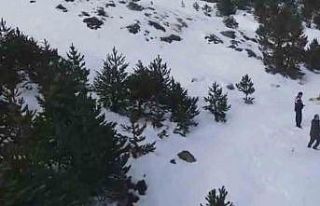 Yaban hayvanları unutulmadı