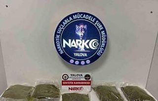 Yalova’da uyuşturucu operasyonu: 2 gözaltı
