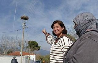 Yılın ilk leyleği yuvasına kondu