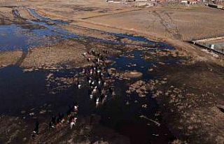 Yılkı atları diyarı Hürmetçi’de atlı safari