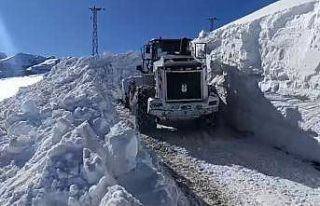 Yüksekova’da 3 metrelik karla zorlu mücadele