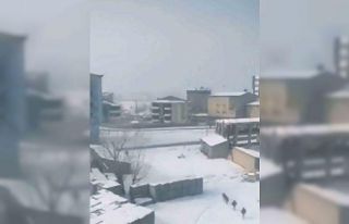 Yüksekova’da başıboş köpeklerin öğrencilere...