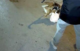 Zehir taciri Eta’dan kaçamadı