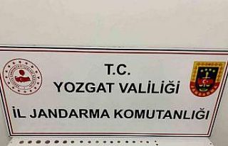 60 parça tarihi eseri kaçıran şahıs yakalandı