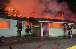 73 yaşındaki annesinin ilişkisi olduğunu düşünerek...