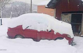 900 rakımlı kar altındaki köyde yaşama mücadelesi