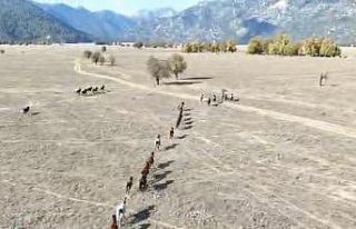 90 bin dönüm ovanın sahipleri hiç bu kadar kalabalık...