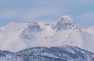 Adana’da dağ keçileri görüldü