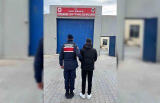 Afyonkarahisar’da hayvan hırsızı yakalandı