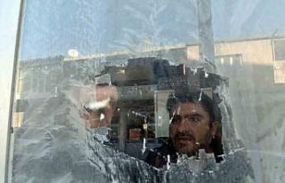 Ahlat’ta Sibirya soğukları etkili oluyor