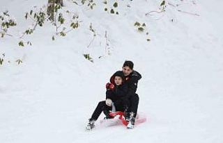 Akyazı’da kızak şenliği başladı