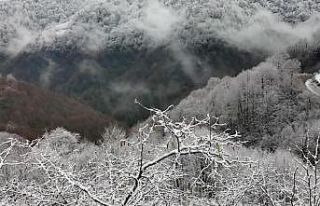Alaplı’nın Gümeli köyüne mevsimin ilk karı...