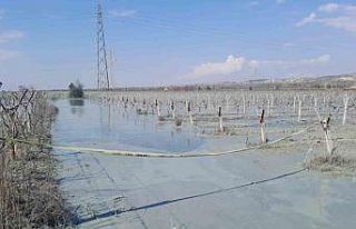 Alaşehir’de üzüm bağı içinde korkutan patlama
