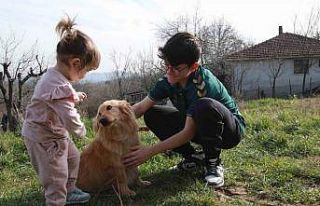 Alex yeni yuvasına kavuştu