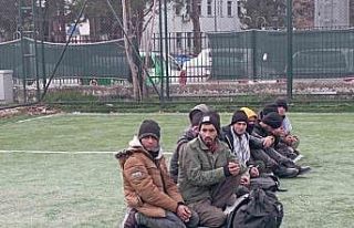 Amasya’da 24 düzensiz göçmen yakalandı