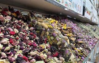 Ani değişen havalara bitkisel çözüm