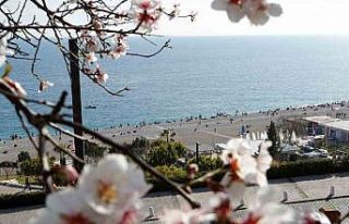 Antalya şubatta baharı yaşadı