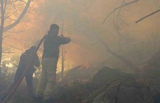 Antalya’da kopan yüksek gerilim hattı orman yangınına...