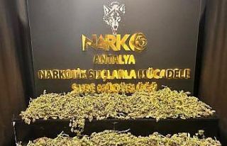 Antalya’da son 1 haftada 26 kilo uyuşturucu madde...