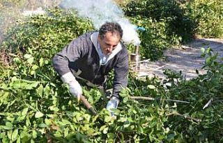 Antalya’dan tüm dünyaya ihraç ediliyor: 300 ton...