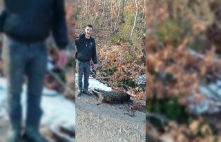 Av tüfeğinin ateş alması sonucu meydana gelen...