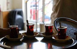 Aydın’da en düşük çay fiyatı 13,5 TL oldu