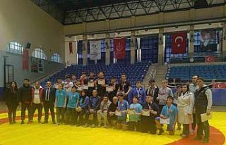 Aydın’da Yıldız Erkek Grekoromen Güreş il birinciliği...