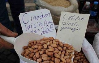 Aydınlı pazarcı izinsiz tadımdan şikayetini hazırladığı...