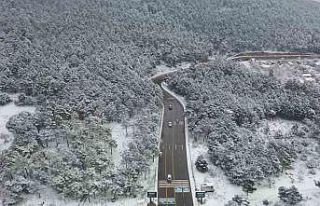 Aydos Ormanı beyaz gelinliğini giydi